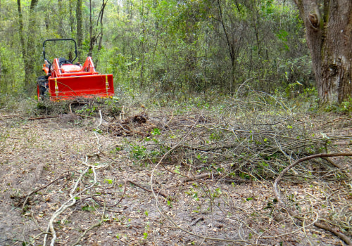 Poison Ivy Removal Made Easy Top Tractor Attachments For The Job